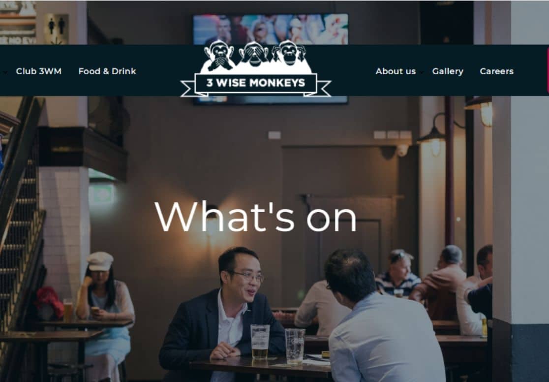 3-wise-monkey-website-design